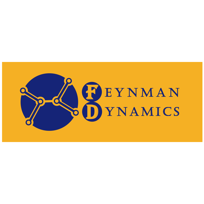 费曼动力
